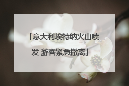 意大利埃特纳火山喷发 游客紧急撤离