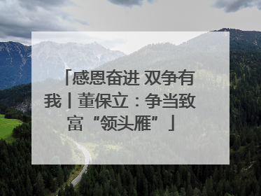 感恩奋进 双争有我丨董保立：争当致富“领头雁”
