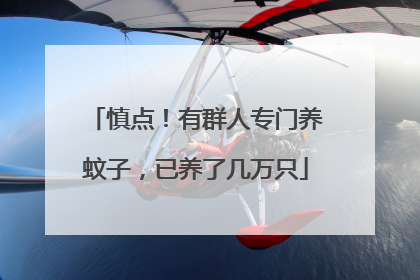 慎点！有群人专门养蚊子，已养了几万只