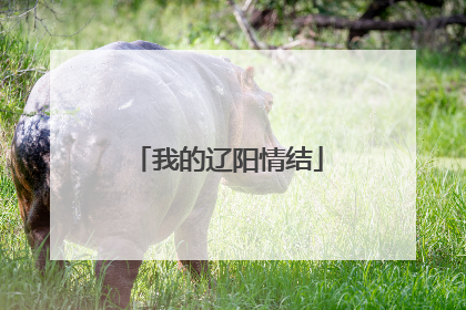 我的辽阳情结