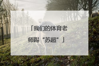 我们的体育老师踢“苏超”