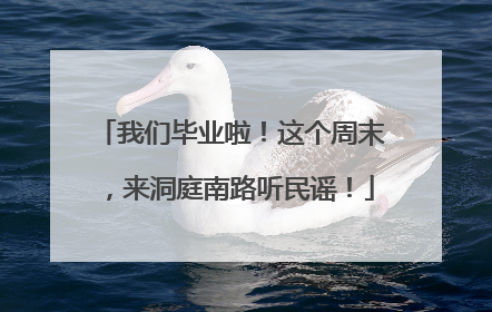我们毕业啦！这个周末，来洞庭南路听民谣！