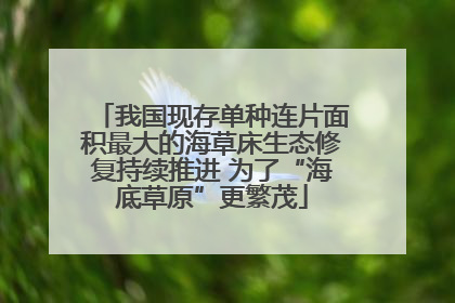我国现存单种连片面积最大的海草床生态修复持续推进 为了“海底草原”更繁茂