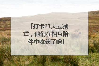 打卡21天云减重，他们在相互陪伴中收获了啥