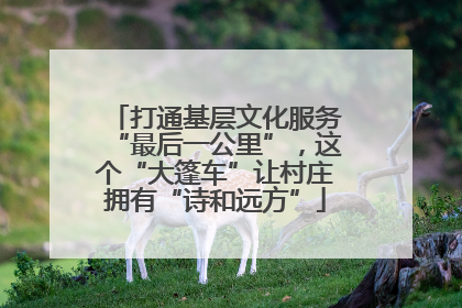 打通基层文化服务“最后一公里”，这个“大篷车”让村庄拥有“诗和远方”