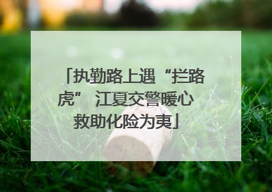 执勤路上遇“拦路虎” 江夏交警暖心救助化险为夷