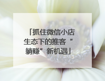抓住微信小店生态下的推客“躺赚”新机遇