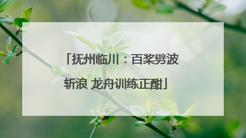 抚州临川：百桨劈波斩浪 龙舟训练正酣