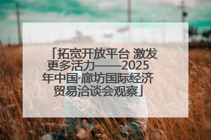 拓宽开放平台 激发更多活力——2025年中国·廊坊国际经济贸易洽谈会观察