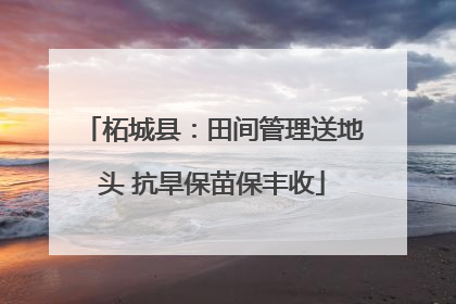 柘城县：田间管理送地头 抗旱保苗保丰收