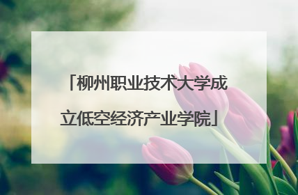 柳州职业技术大学成立低空经济产业学院