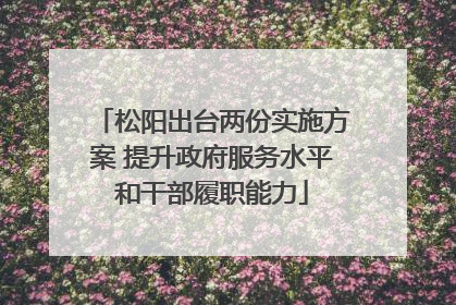 松阳出台两份实施方案 提升政府服务水平和干部履职能力