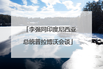 李强同印度尼西亚总统普拉博沃会谈