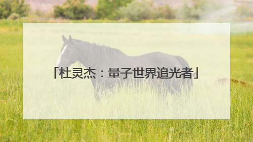 杜灵杰：量子世界追光者