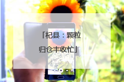 杞县：颗粒归仓丰收忙