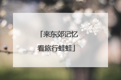 来东郊记忆 看旅行蛙蛙