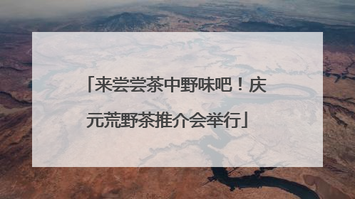 来尝尝茶中野味吧！庆元荒野茶推介会举行