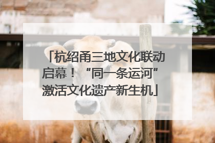 杭绍甬三地文化联动启幕!“同一条运河”激活文化遗产新生机