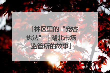 林区里的“宠客执法”｜湖北市场监管所的故事