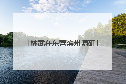 林武在东营滨州调研