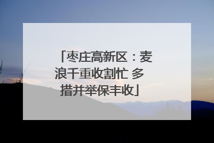 枣庄高新区：麦浪千重收割忙 多措并举保丰收