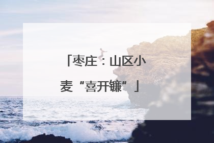 枣庄：山区小麦“喜开镰”