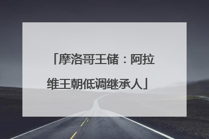 摩洛哥王储：阿拉维王朝低调继承人