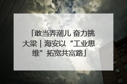 敢当弄潮儿 奋力挑大梁｜海安以“工业思维”拓宽共富路
