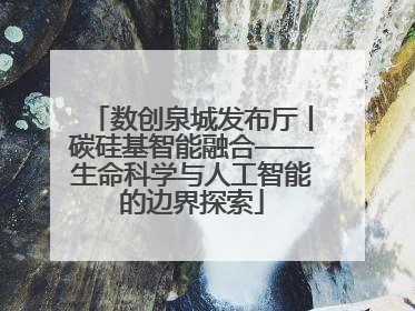 数创泉城发布厅丨碳硅基智能融合——生命科学与人工智能的边界探索