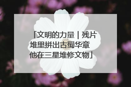 文明的力量｜残片堆里拼出古蜀华章 他在三星堆修文物