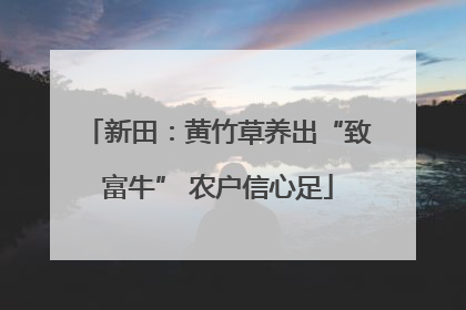 新田：黄竹草养出“致富牛” 农户信心足