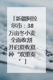 新疆阿拉尔市：38万亩冬小麦全面收割 开启夏收夏种“双重奏”