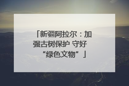 新疆阿拉尔：加强古树保护 守好“绿色文物”