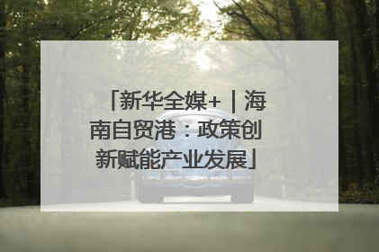 新华全媒+｜海南自贸港：政策创新赋能产业发展