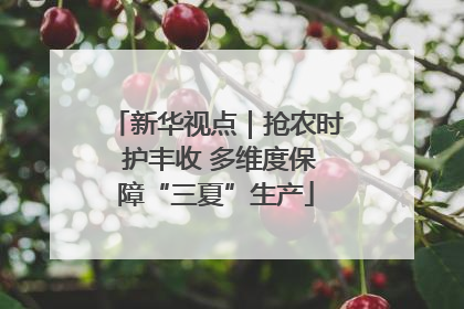 新华视点｜抢农时 护丰收 多维度保障“三夏”生产