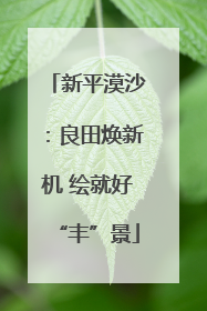 新平漠沙：良田焕新机 绘就好“丰”景