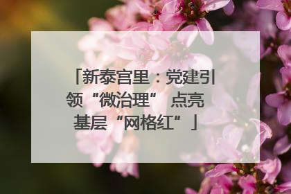 新泰宫里：党建引领“微治理” 点亮基层“网格红”