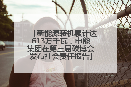 新能源装机累计达613万千瓦，申能集团在第三届碳博会发布社会责任报告