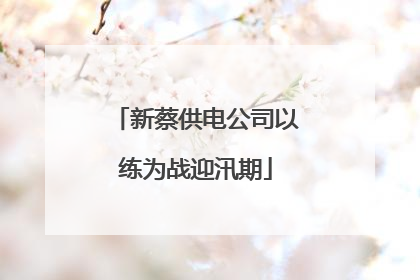 新蔡供电公司以练为战迎汛期