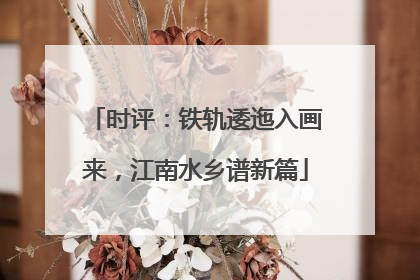 时评：铁轨逶迤入画来，江南水乡谱新篇