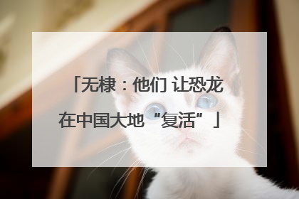 无棣：他们 让恐龙在中国大地“复活”