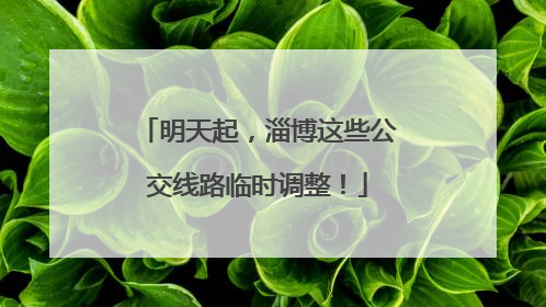 明天起，淄博这些公交线路临时调整！