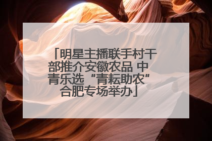 明星主播联手村干部推介安徽农品 中青乐选“青耘助农”合肥专场举办