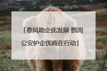 春风助企优发展 鹤岗公安护企优商在行动