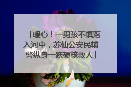 暖心！一男孩不慎落入河中，苏仙公安民辅警纵身一跃硬核救人