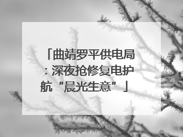 曲靖罗平供电局：深夜抢修复电护航“晨光生意”