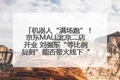 机器人“满场跑”！京东MALL北京二店开业 刘强东“等比例复刻”能否带火线下“618”？