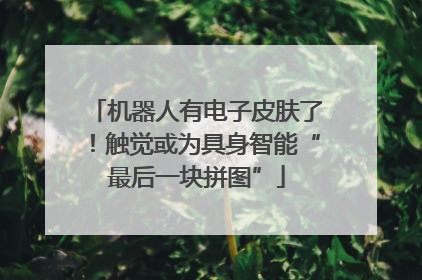 机器人有电子皮肤了！触觉或为具身智能“最后一块拼图”