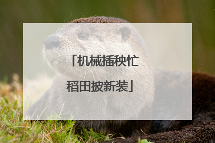 机械插秧忙 稻田披新装
