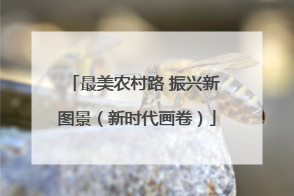 最美农村路 振兴新图景（新时代画卷）